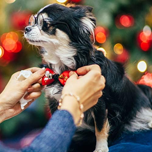 Vue 7 de Nud Papillon Tendance Pour