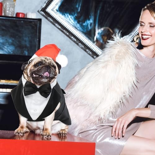 Vue 6 de Smoking Formel Pour Chien