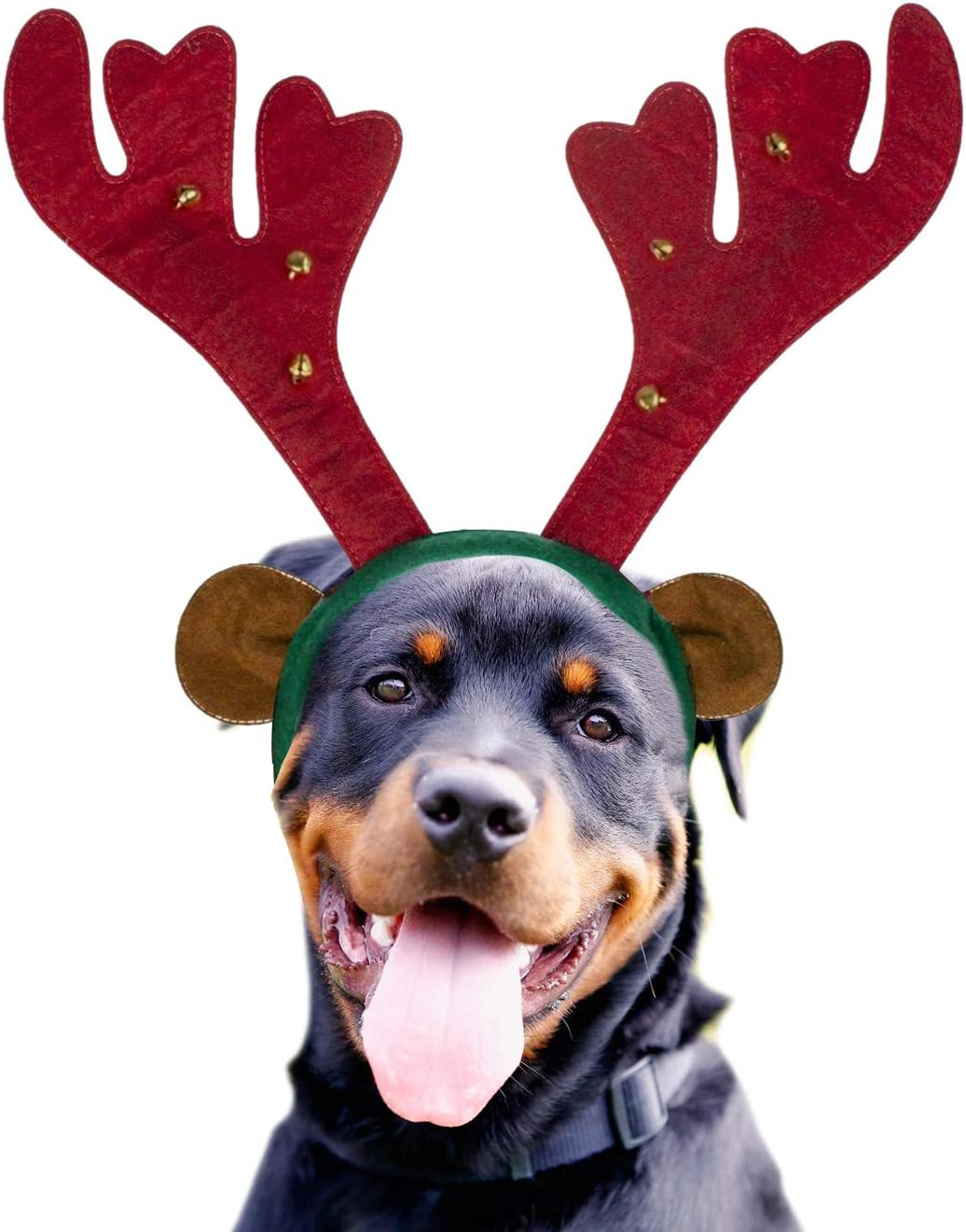 Pawz World Serretete En