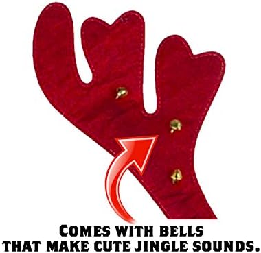 Vue 3 de Pawz World Serretete En