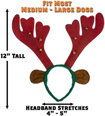 Vue 4 de Pawz World Serretete En