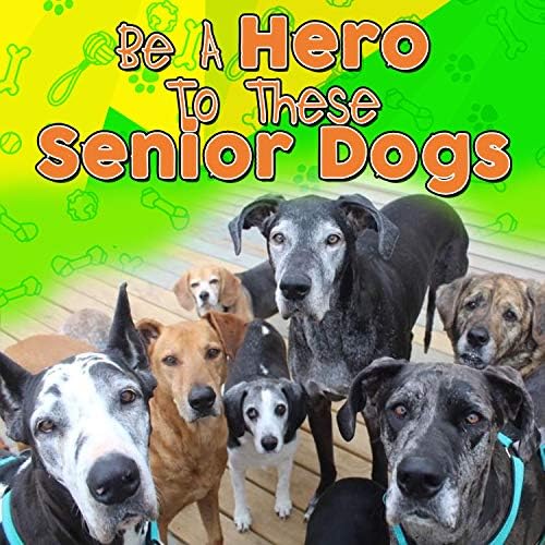 Vue 5 de Pawz World Serretete En