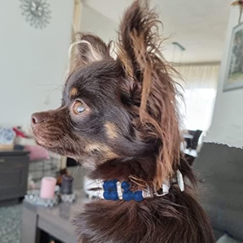 Vue 6 de Collier Pour Animal Domestique