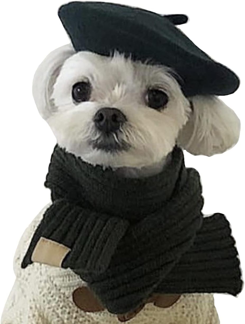 Muyaopet Beret En Laine