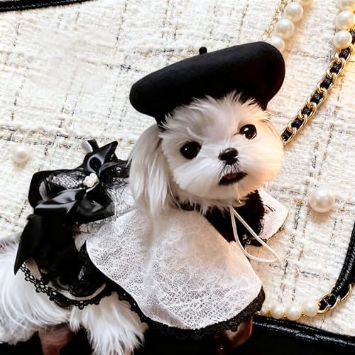 Vue 2 de Muyaopet Beret En Laine