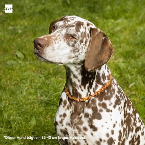 Vue 2 de Amberta Collier Ambre