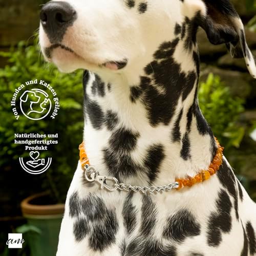 Vue 3 de Amberta Collier Ambre