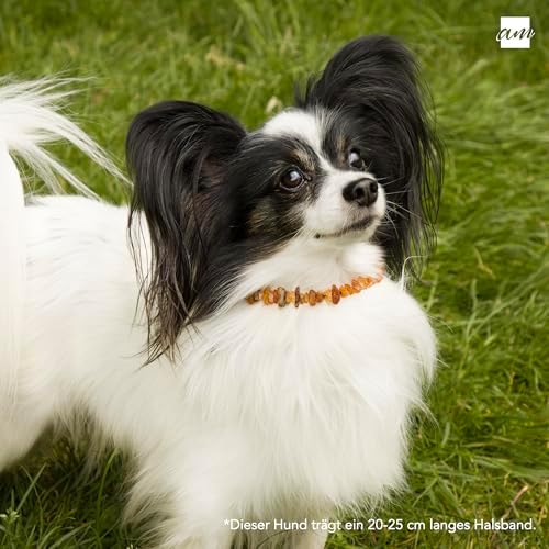 Vue 4 de Amberta Collier Ambre