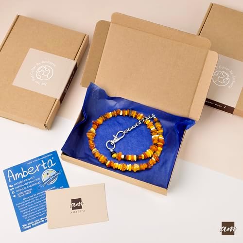 Vue 6 de Amberta Collier Ambre