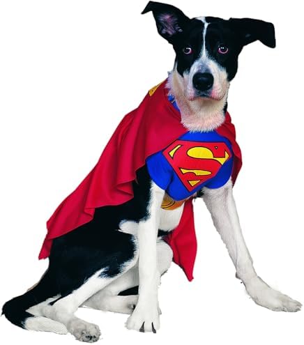 Vue 3 de Rubies Officielle Superman Pet