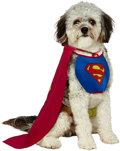 Vue 6 de Rubies Officielle Superman Pet