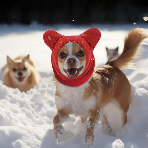 Vue 6 de Shallyong Pieces Casquette Et