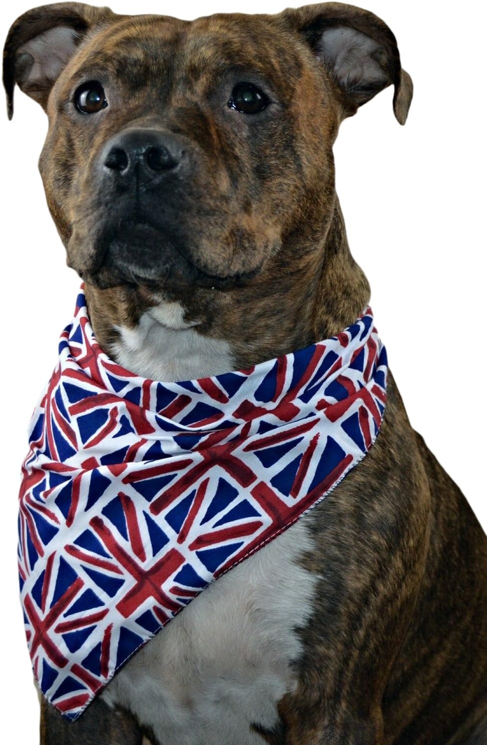 Pet Pooch Boutique Bandana