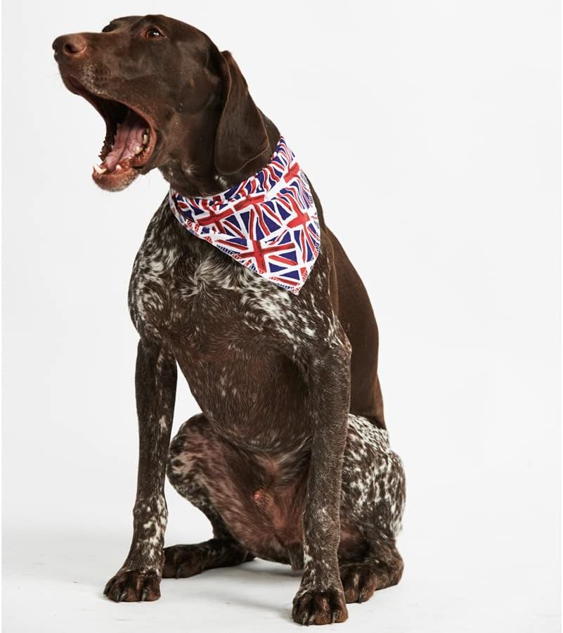 Vue 5 de Pet Pooch Boutique Bandana