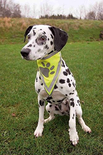 Vue 2 de Foulard Reflechissant Lxl Cm