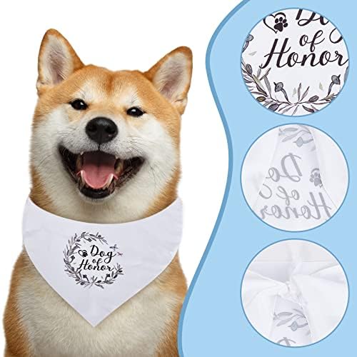 Vue 3 de Craspire Chien Dhonneur Bandana