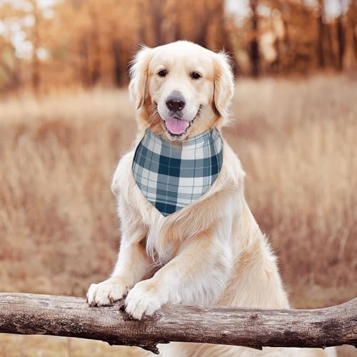 Vue 5 de Echarpe Bandana Pour Chien