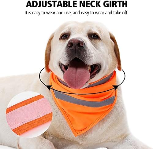 Vue 4 de Bandana Pour Chien Bavoir