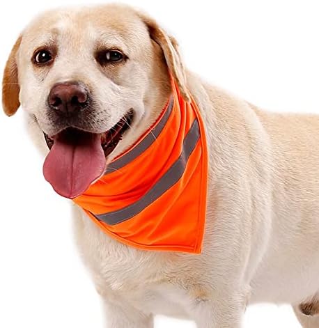 Vue 7 de Bandana Pour Chien Bavoir