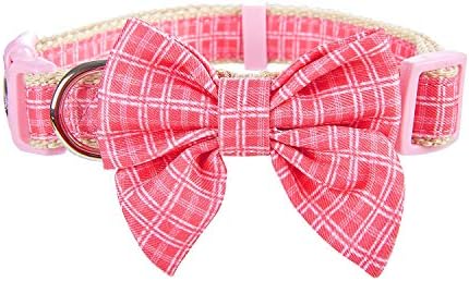 Vue 3 de Yudote Collier Pour Chien