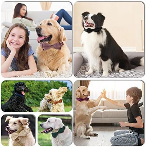 Vue 6 de Ktwsuef Collier Chien Velours