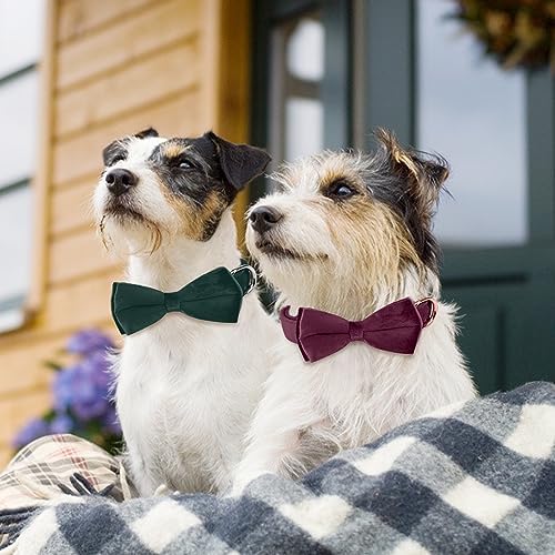 Vue 7 de Ktwsuef Collier Chien Velours