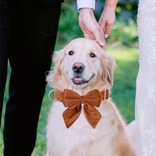 Vue 4 de Tie Ktwsuef Collier Pour