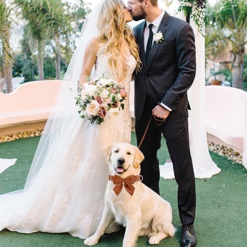 Vue 6 de Tie Ktwsuef Collier Pour