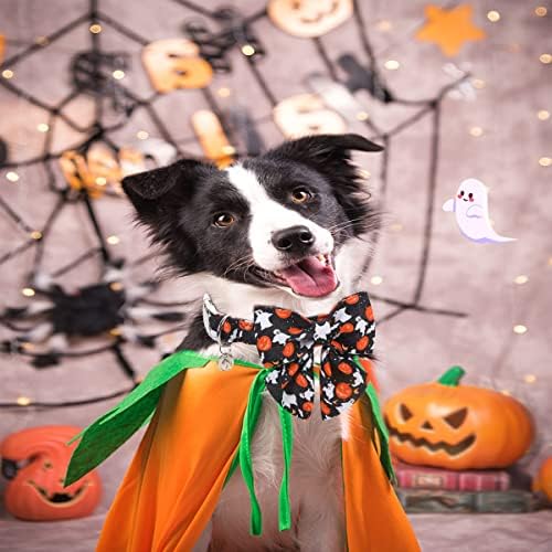 Vue 3 de Collier Reglable Pour Chien