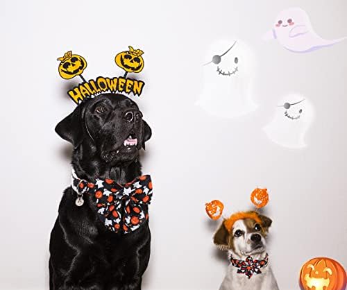 Vue 4 de Collier Reglable Pour Chien