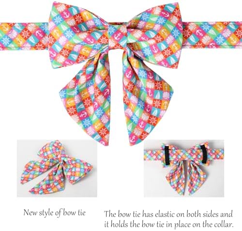 Vue 4 de Lionet Paws Collier Pour