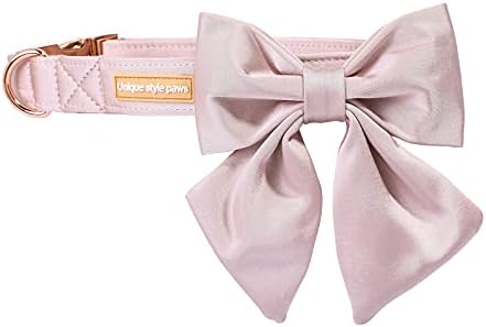 Vue 3 de Unique Style Paws Collier