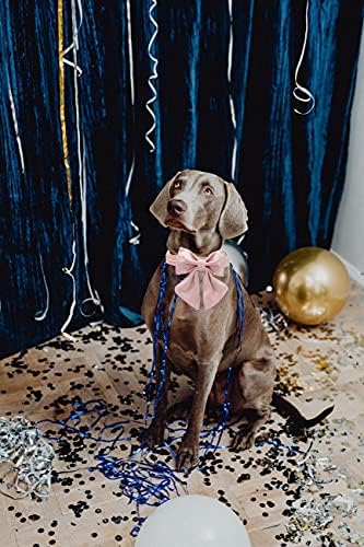 Vue 4 de Unique Style Paws Collier