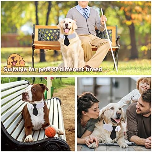 Vue 4 de Hacraho Cravate Pour Chien