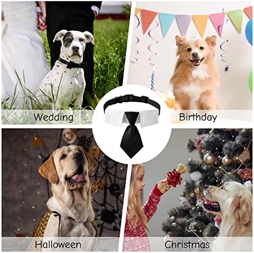 Vue 5 de Hacraho Cravate Pour Chien