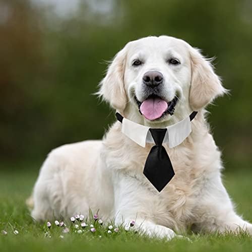 Vue 6 de Hacraho Cravate Pour Chien