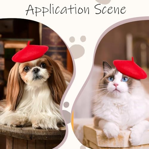 Vue 4 de Gorgecraft Beret Pour Chien