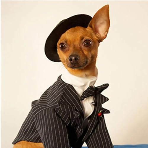 Vue 6 de Luliyldj Noir Beret En