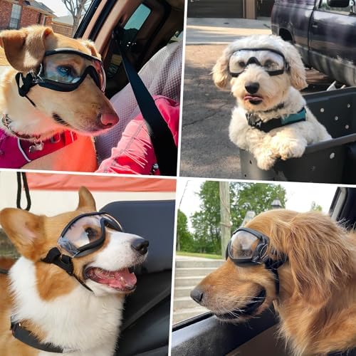 Vue 2 de Namsan Lunettes Pour Chiens