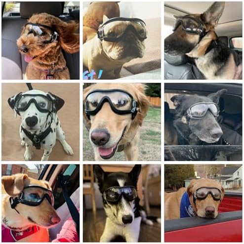 Vue 6 de Namsan Lunettes Pour Chiens