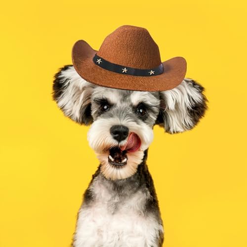 Vue 3 de Awocan Chapeau De Cowboy