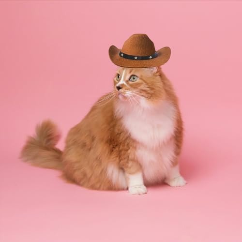 Vue 5 de Awocan Chapeau De Cowboy