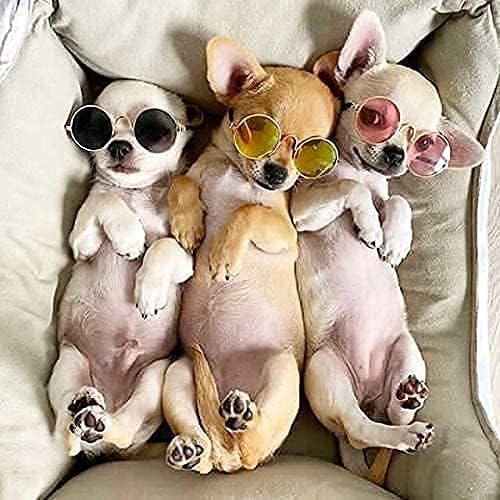 Vue 2 de Molain Lot De Lunettes