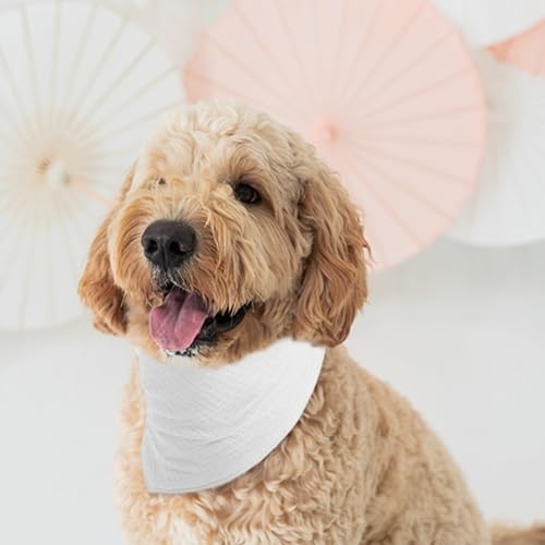 Vue 4 de Icemood Echarpe Pour Chien