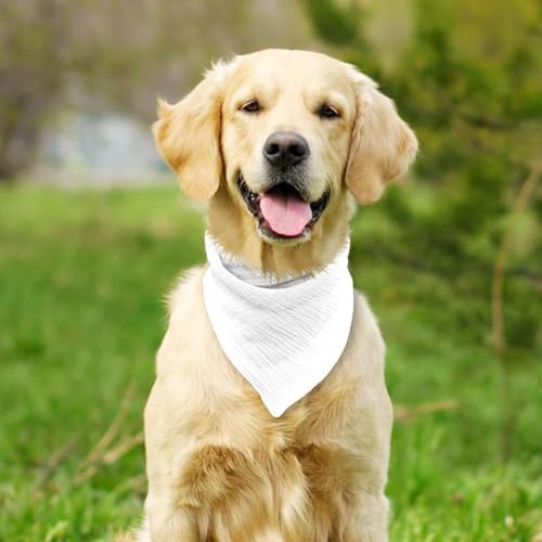 Vue 5 de Icemood Echarpe Pour Chien