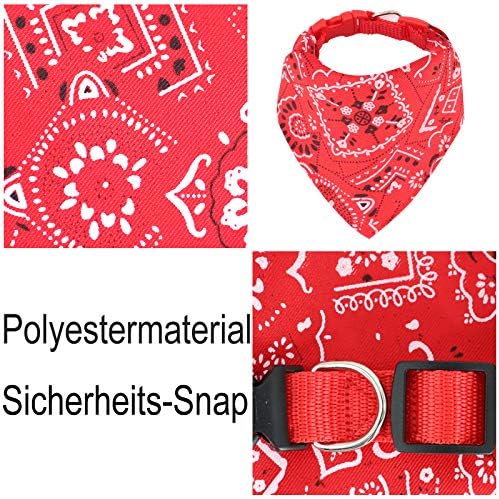 Vue 2 de Chiens De Mode Bandana