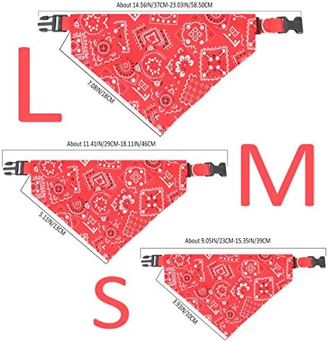 Vue 3 de Chiens De Mode Bandana