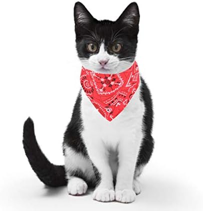 Vue 4 de Chiens De Mode Bandana