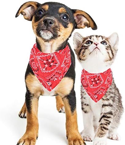 Vue 7 de Chiens De Mode Bandana