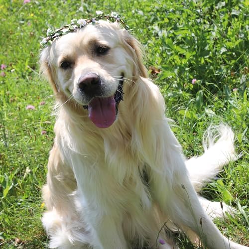 Vue 3 de Croci Ceremony Couronne De